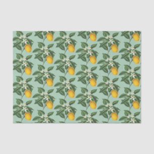 Vintage Botanical Lemon Fruit Blossom Sage Green Tissue Paper