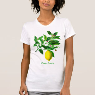 Vintage Botanical Lemon Print T-Shirt