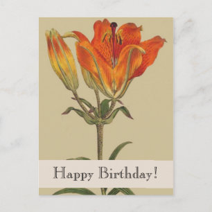 Vintage Botanical Lily Bonne carte postale d'anniv