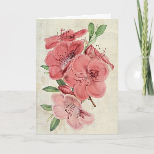 Vintage Botanical Magnet Azalea Card (Front)