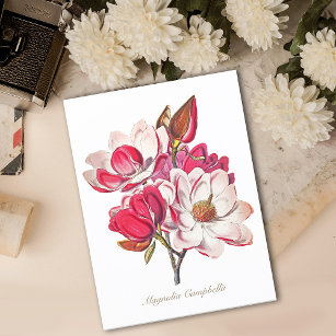 Vintage Botanical Magnolia Pink White Flowers Postcard