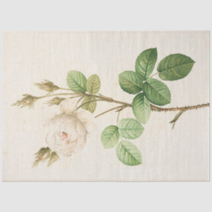 Vintage Botanical Modern Popular Floral Tissue Pap Paper
