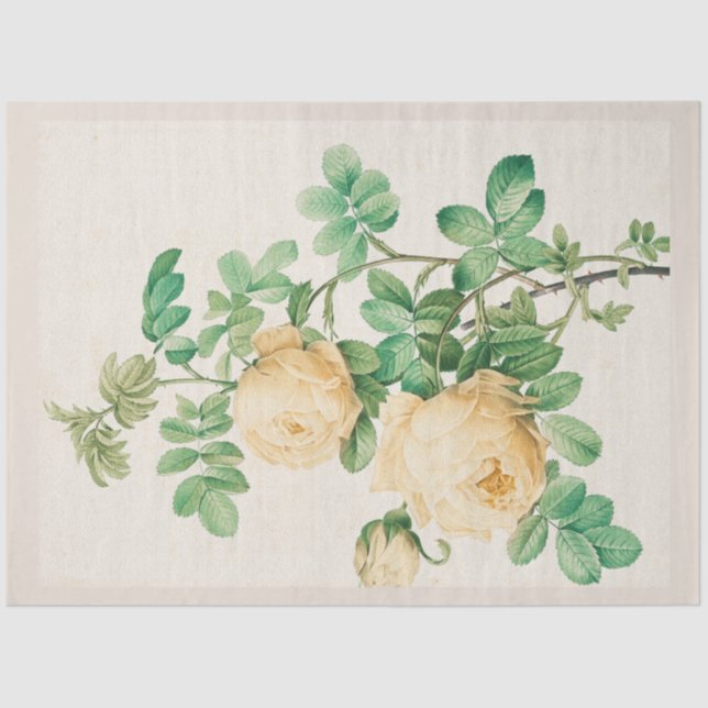 Vintage Botanical Modern Popular Floral Tissue Paper (Front)