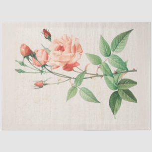 Vintage Botanical Modern Popular Floral Tissue Paper