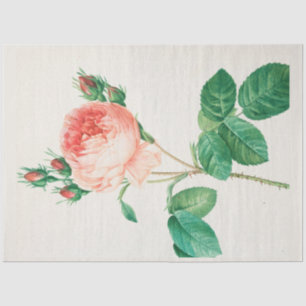 Vintage Botanical Modern Popular Floral Tissue Paper