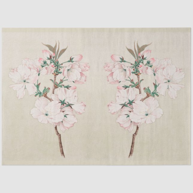 Vintage Botanical Modern Popular Floral Tissue Paper (Front)