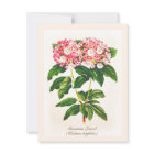 Vintage Botanical Mountain Laurel Flower 