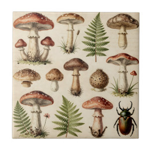 Vintage Botanical Mushroom Fern Collage Tile