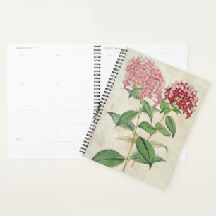 Vintage Botanical New Hybrid Bouvardias Planner