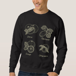 Vintage Botanical Orange Citrus Fruit Spring Cotta Sweatshirt