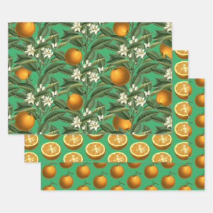 Vintage Botanical Orange Fruit Blossom Pattern Wrapping Paper Sheet