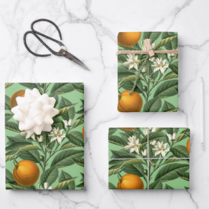 Vintage Botanical Orange Fruit Blossom Sage Wrapping Paper Sheet