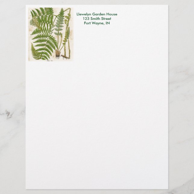 Vintage Botanical Page - Fern (Front)