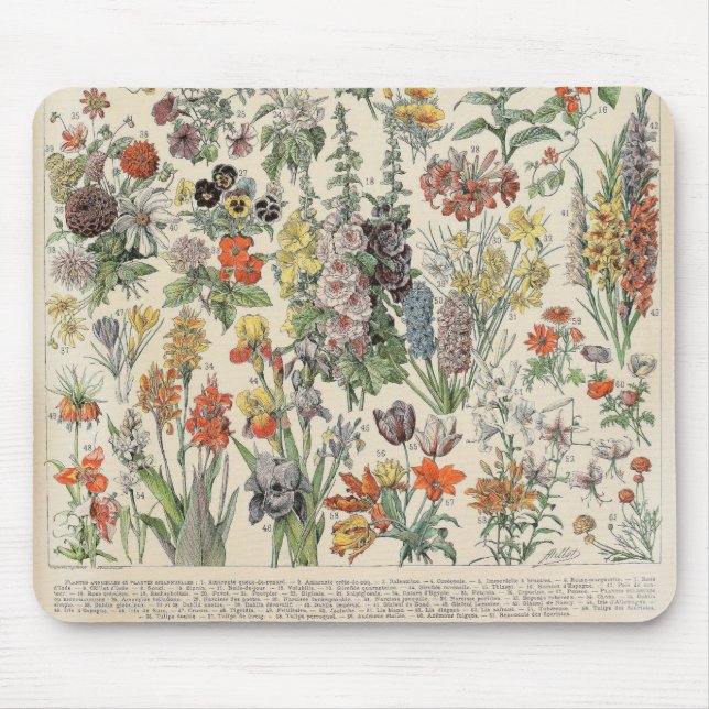 Vintage Botanical Pattern Mouse Pad (Front)