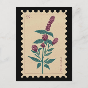 Vintage Botanical Peppermint Floral  Postcard