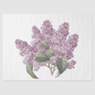 Vintage Botanical Pink Lilac Bouquet Decoupage Tissue Paper