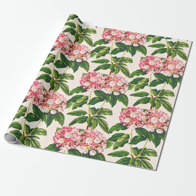 Vintage Botanical Pink Mountain Laurel Flower  Wrapping Paper (Unrolled)