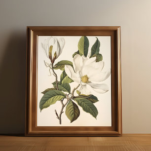 Vintage Botanical Poster