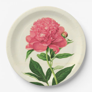 Vintage Botanical Print, Coral Pink Peony Paper Plate
