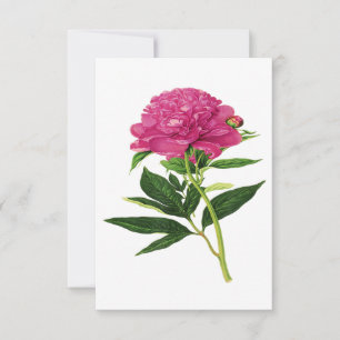 Vintage Botanical Print, Fuchsia Pink Peony Thank You Card