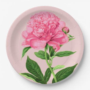 Vintage Botanical Print, Pastel Pink Peony Paper Plate