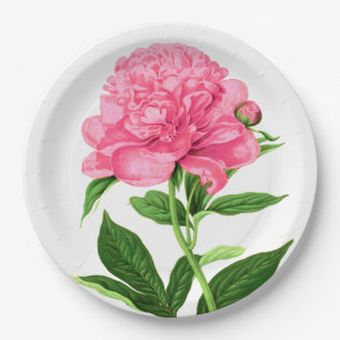 Vintage Botanical Print, Pastel Pink Peony Paper Plate