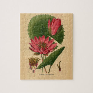 Vintage Botanical Print Pink Water Lily Lotus Jigsaw Puzzle