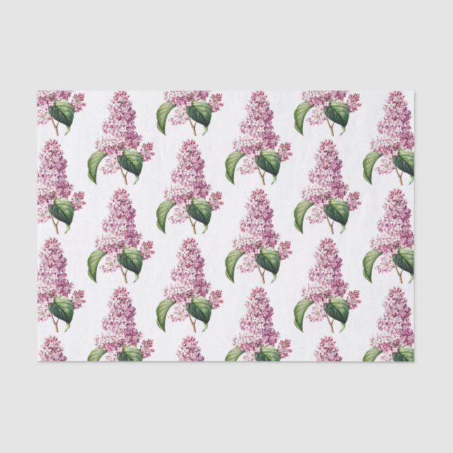Vintage Botanical Purple Lilac Blossom Tissue Paper (Front)