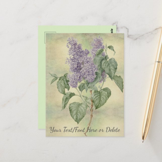 Vintage Botanical Purple Lilac Syringa Vulgaris Postcard (Front/Back In Situ)