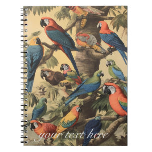 Vintage botanical scene colourful parrots in a tre notebook