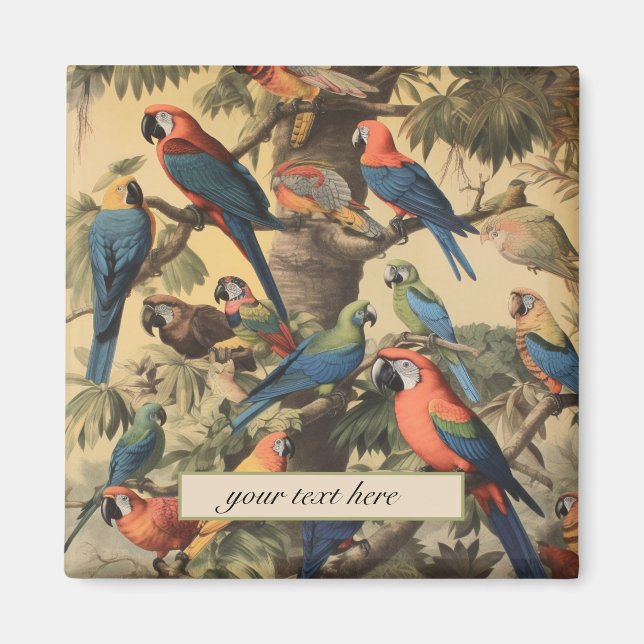 Vintage botanical scene parrots customizable  magnet (Front)