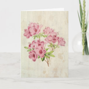 Vintage Botanical Standish's Hybrid Azalea Card
