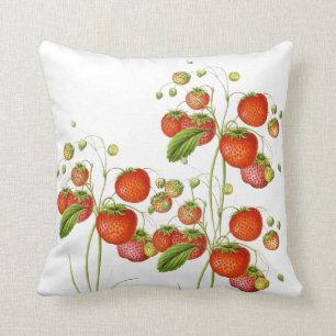 Vintage Botanical Strawberry Pillow