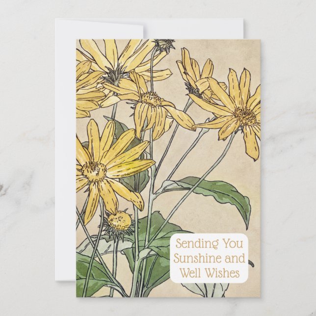 Vintage Botanical Sunflower Illustration Card (Front)