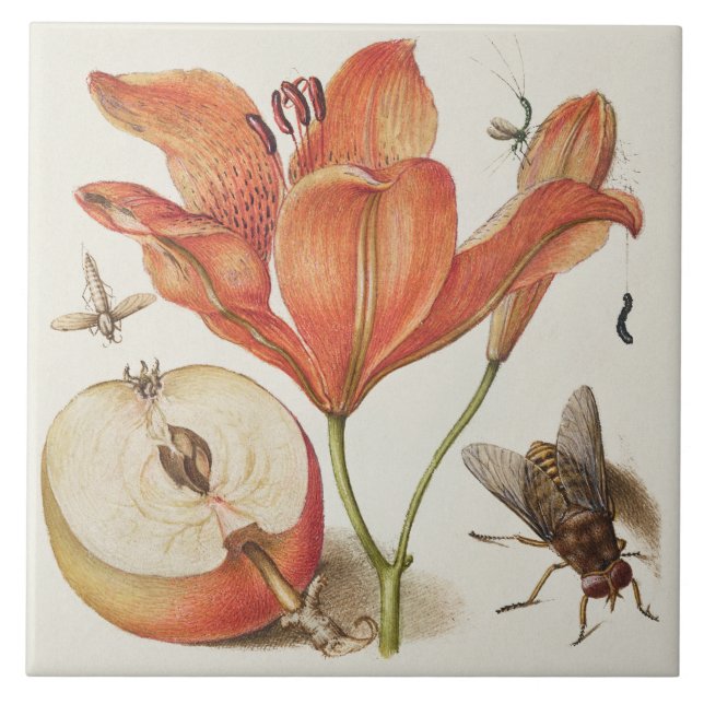 Vintage Botanical  Tile (Front)