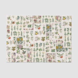 Vintage Botanical Tissue for Decoupage Paper