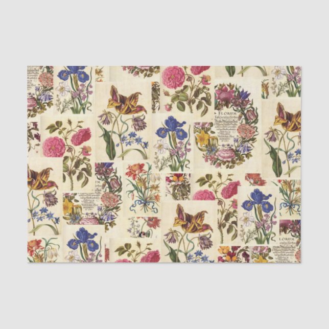 Vintage Botanical Tissue for Decoupage Tissue Paper (Front)
