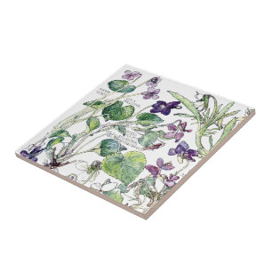 Vintage Botanical Violet Wildflower Flowers Tile