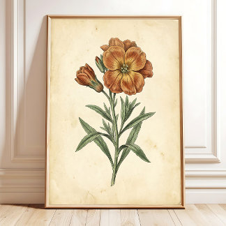 Vintage Botanical Wall Art Canvas Print