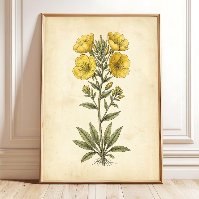 Vintage Botanical Wall Art Print (Creator Uploaded)
