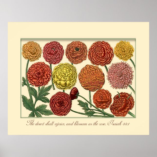 Vintage Botanical with Isaiah Scripture Verse Poster (Front)