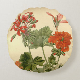 Vintage Botanical Zonal Geranium Floral Illustrati Round Pillow