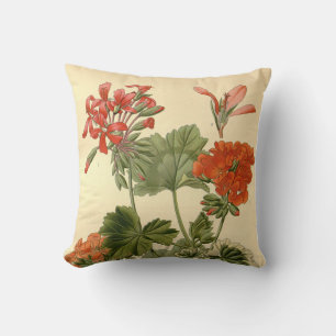 Vintage Botanical Zonal Geranium Floral Illustrati Throw Pillow