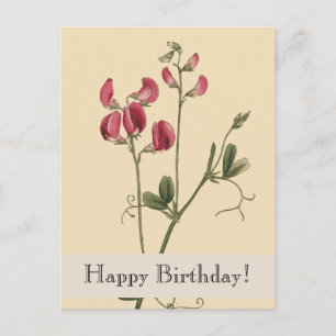 Vintage Botanicals Happy Birthday Postcard