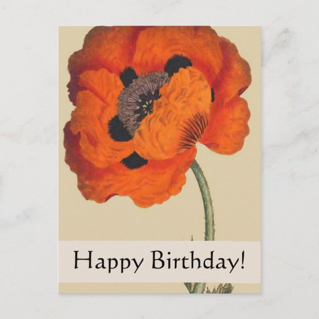 Vintage Botanicals Poppy Birthday Card (Front)