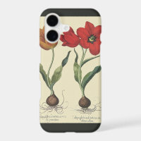 Vintage Botany, Blooming Tulip Flowers and Bulbs