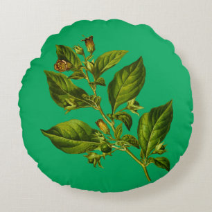 Vintage Botany Illustration Flower Round Pillow