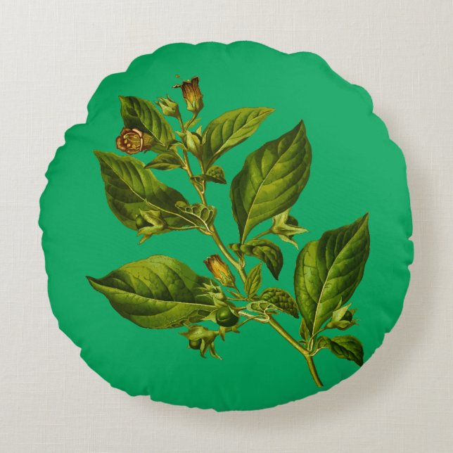 Vintage Botany Illustration Flower Round Pillow (Front)