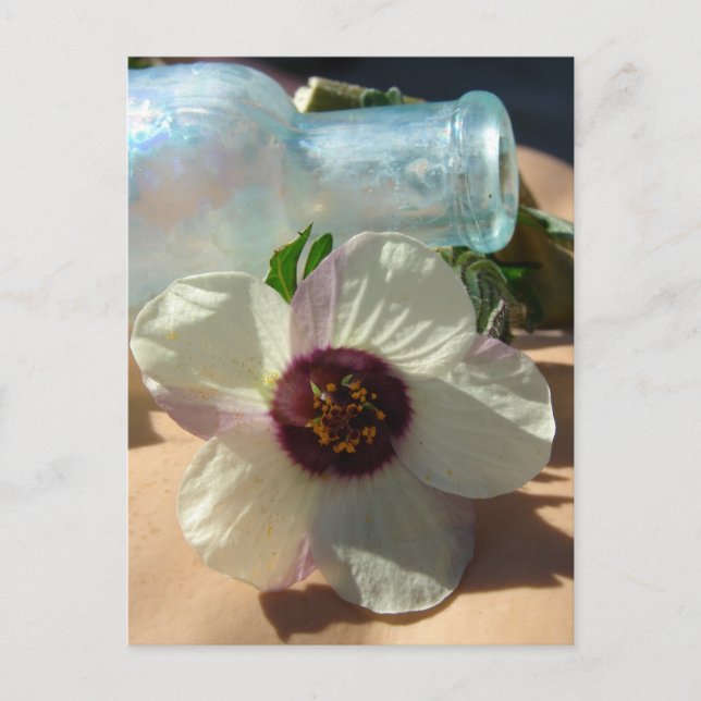 Vintage Bottle and a Pretty Flower Postcard (Front)