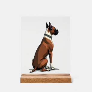 Vintage Boxer Dog From Behind Illustration Brown W Acrylic Sign